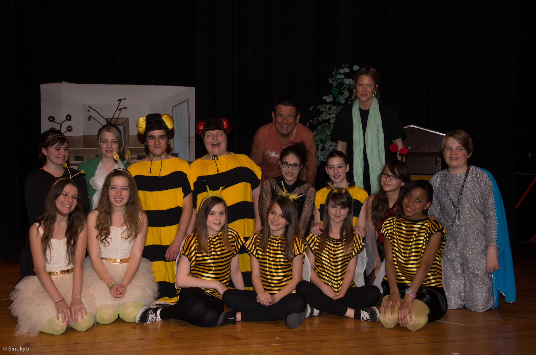 2013: Abeilles en sursis